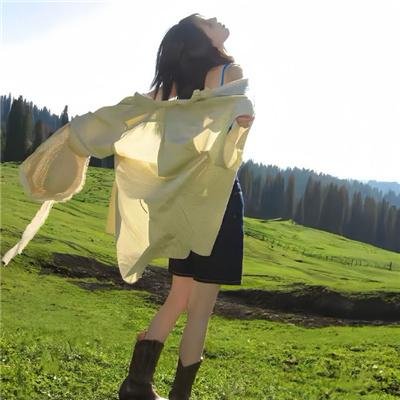 公牛